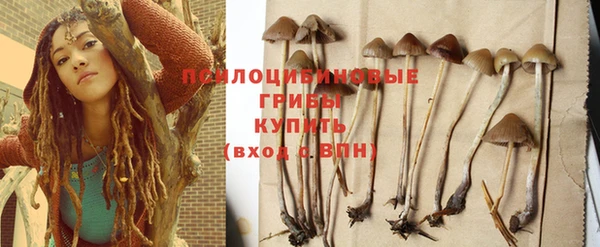 наркотики Новозыбков