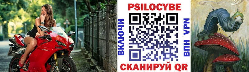 Галлюциногенные грибы Psilocybe  Омутнинск 